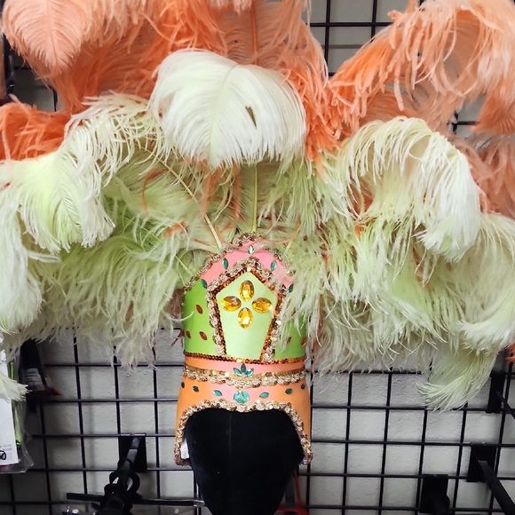 Colorful Feathered Headpiece - Picture 1 of 1